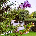 Seaside Boutique Rosee - Beautiful Living *