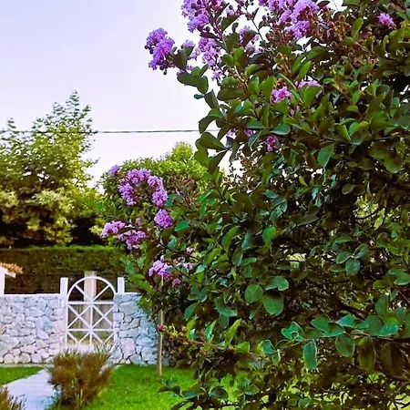 Vila Seaside Boutique Rosee - Beautiful Living Litochoro
