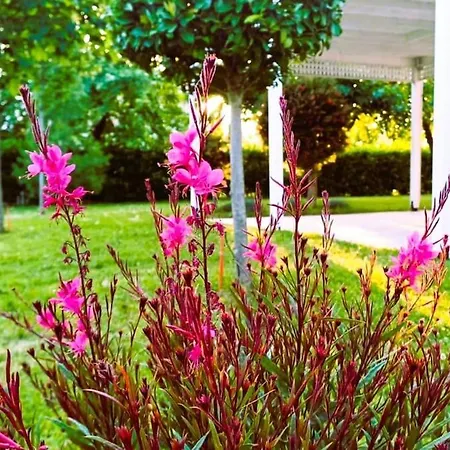 Seaside Boutique Rosee - Beautiful Living * Litochoro