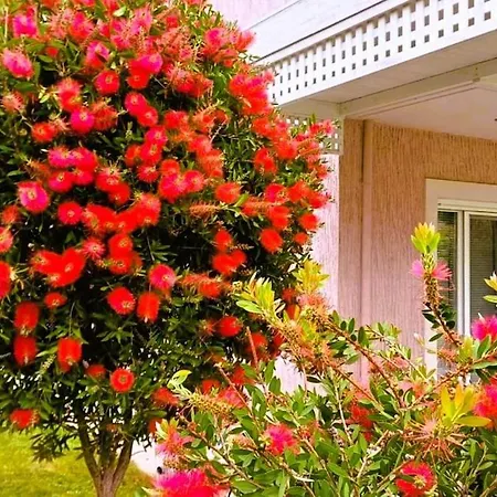 Seaside Boutique Rosee - Beautiful Living *