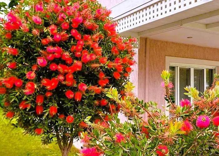 Seaside Boutique Rosee - Beautiful Living *